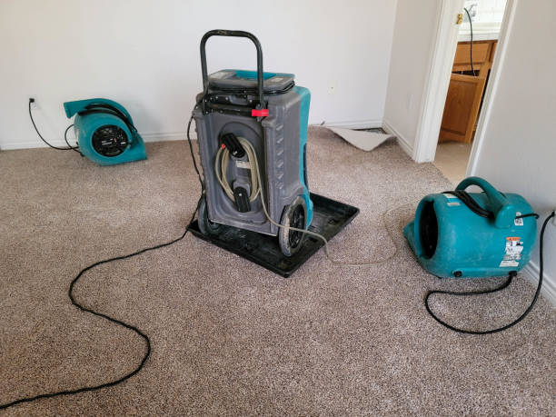 Best Ceiling water damage repair  in Springdale, AR