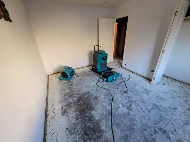 Best 24-hour water damage restoration  in Springdale, AR