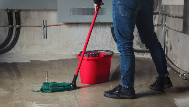 Best Basement water damage restoration  in Springdale, AR