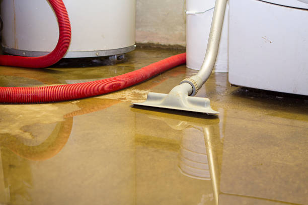 Best Water damage restoration near me  in Springdale, AR