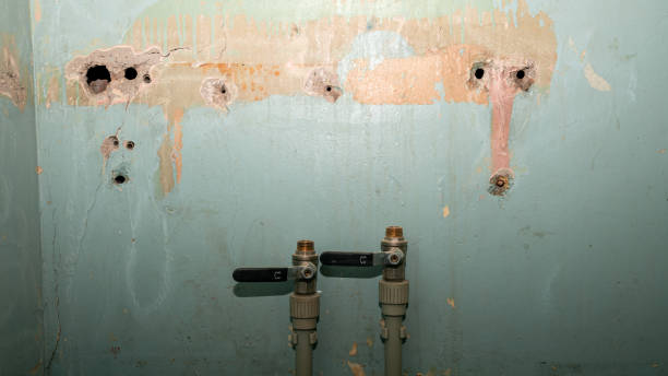 Best Water damage repair service  in Springdale, AR