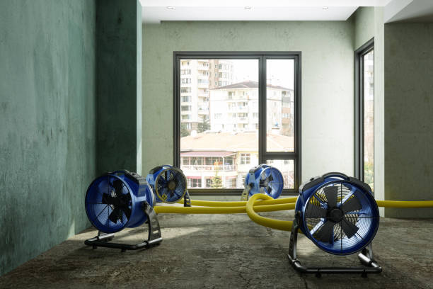 Best 24/7 water damage repair  in Springdale, AR